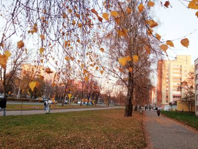 Потеплеет? Какой будет погода в ноябре в Беларуси - grodnonews.by - Белоруссия