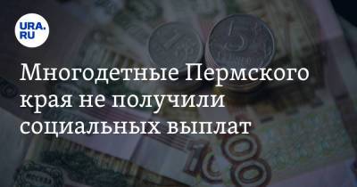 Многодетные Пермского края не получили социальных выплат - ura.news - Пермский край