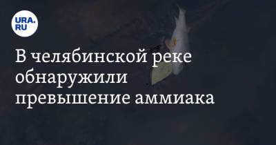 В челябинской реке обнаружили превышение аммиака - ura.news - Златоуст - Экология