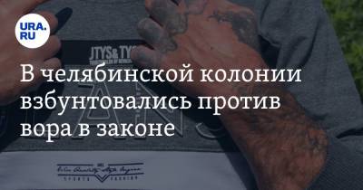 В челябинской колонии взбунтовались против вора в законе - ura.news - Челябинская обл.