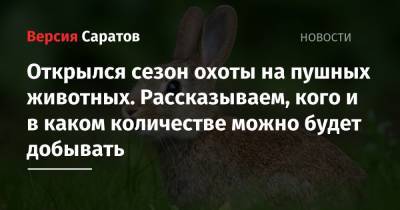 Открылся сезон охоты на пушных животных. Рассказываем, кого и в каком количестве можно будет добывать - nversia.ru - Саратовская обл.