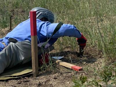 В октябре было разминировано более 400 га освобожденных от оккупации территорий Азербайджана - trend.az - Азербайджан