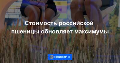 Андрей Сизов - Стоимость российской пшеницы обновляет максимумы - news.mail.ru - Россия - США - Канада