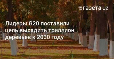 Лидеры G20 поставили цель высадить триллион деревьев к 2030 году - gazeta.uz - Узбекистан