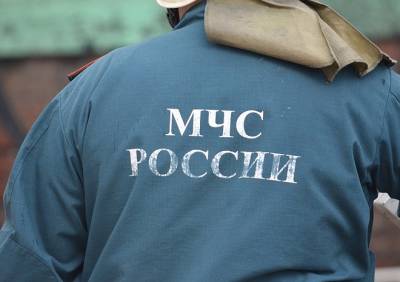 В МЧС рассказали подробности трагического пожара в Сапожке - ya62.ru - Рязанская обл.