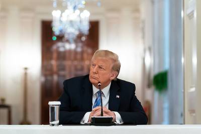 Дональд Трамп - Треть американцев верит, что у Трампа украли победу - tvc.ru - США