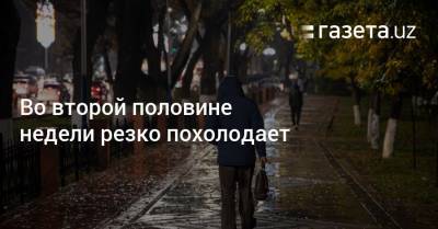 Во второй половине недели резко похолодает - gazeta.uz - Узбекистан