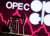 Джо Байден - США готовят меры против ОПЕК+ из-за дефицита нефти - udf.by - Китай - США - Япония - Индия