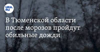 В Тюменской области после морозов пройдут обильные дожди - ura.news - Тюменская обл.