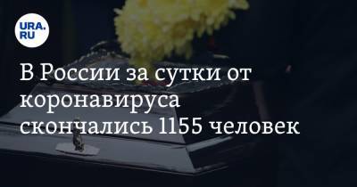 Александр Гинцбург - В России за сутки от коронавируса скончались 1155 человек - ura.news - Россия