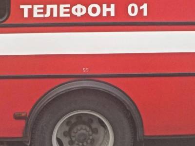 В деревне Кингисеппского района при пожаре погиб мужчина - rosbalt.ru - Ленинградская обл. - район Кингисеппский