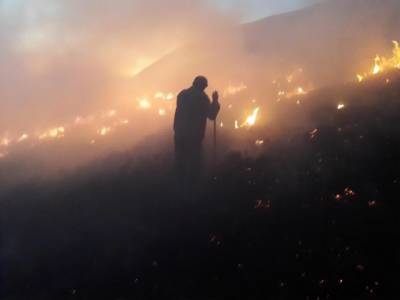 Пожар в Карпатах тушили более 100 спасателей и лесников - gordonua.com - Украина