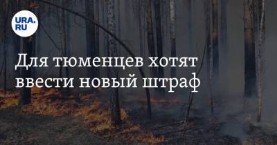 Для тюменцев хотят ввести новый штраф - ura.news - Тюмень - Тюменская обл.