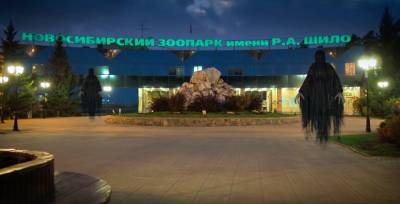 Гарри Поттер - В зоопарке Новосибирска отпраздновали Хеллоуин в стиле Гарри Поттера - sib.fm - Новосибирск