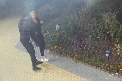 "Он говорил, что мы - сепаратисты": в Киеве епископ избил женщину из-за собаки и попал на видео - rupor.info - Украина - Киев