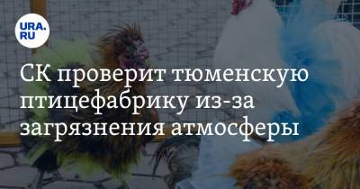 СК проверит тюменскую птицефабрику из-за загрязнения атмосферы - ura.news - Россия - Тюменская обл.