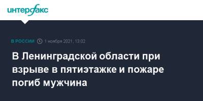 В Ленинградской области при взрыве в пятиэтажке и пожаре погиб мужчина - interfax.ru - Москва - Ленинградская обл. - район Кингисеппский