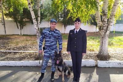 Служебная собака помогла найти пропавшую жительницу Кубани - kuban.mk.ru - Лабинск