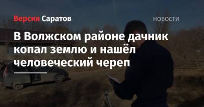 В Волжском районе дачник копал землю и нашёл человеческий череп - nversia.ru - Саратов - район Волжский, Саратов