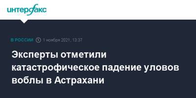 Эксперты отметили катастрофическое падение уловов воблы в Астрахани - interfax.ru - Москва - Астрахань