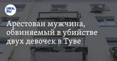 Арестован мужчина, обвиняемый в убийстве двух девочек в Туве - ura.news