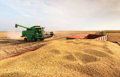 Укрпроминвест завершил обмолот масличных с рекордом - agroportal.ua - Украина