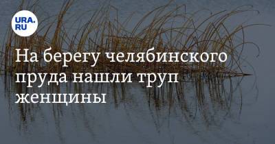 На берегу челябинского пруда нашли труп женщины - ura.news - Челябинская обл. - Миасс