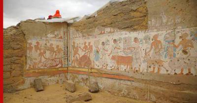 Крупную археологическую находку сделали в комплексе древних гробниц недалеко от Каира - profile.ru - Египет - Каир