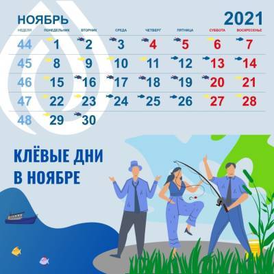 Опубликован календарь с лучшими днями для рыбалки в ноябре на территории Ленобласти - ivbg.ru - Украина - Ленинградская обл.