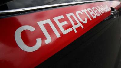 СК возбудил дело после отравления российских туристов в отеле Египта - iz.ru - Россия - Израиль - Египет - респ. Татарстан - Зеленодольск