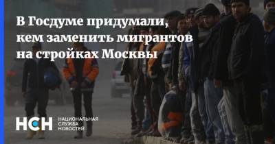 Светлана Разворотнева - В Госдуме придумали, кем заменить мигрантов на стройках Москвы - nsn.fm - Москва - Россия - Строительство