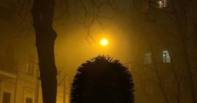 В Киеве вандалы разрушили скульптуру "Ежик в тумане" (фото) - focus.ua - Украина - Киев