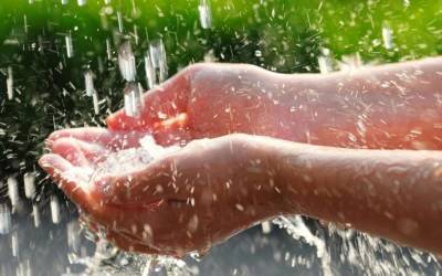 ​Лечебные свойства дождевой воды - skuke.net