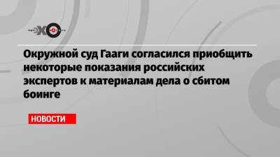 Окружной суд Гааги согласился приобщить некоторые показания российских экспертов к материалам дела о сбитом боинге - echo.msk.ru - Россия - Гаага