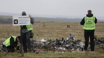 Хендрик Стейнхейс - Суд в Нидерландах приобщил к делу MH17 ответы «Алмаз-Антея» - russian.rt.com - Россия - Украина - Голландия - Амстердам - Гаага
