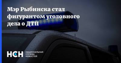 Денис Добряков - Мэр Рыбинска стал фигурантом уголовного дела о ДТП - nsn.fm - Ярославская обл. - Рыбинск
