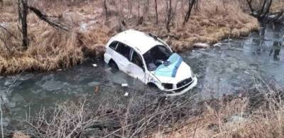 На Алтае машина с тремя детьми упала в протоку реки Кокса - runews24.ru - респ. Алтай