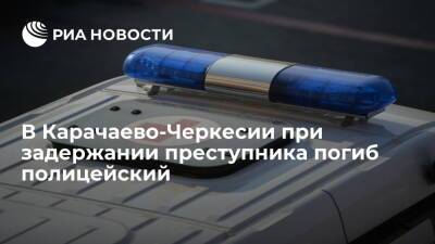 В Карачаево-Черкесии погиб полицейский при задержании подозреваемого в краже из мечети - ria.ru - Россия - респ. Карачаево-Черкесия - Пятигорск - Карачаевск