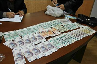 Конфискованные у коррупционеров деньги пойдут на формирование пенсий - pnp.ru - Россия