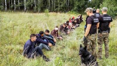 В Пентагоне выразили обеспокоенность кризисом на польско-белорусской границе - eadaily.com - Белоруссия - Польша - Литва - Минск - Латвия