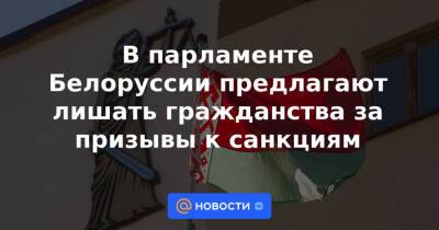 В парламенте Белоруссии предлагают лишать гражданства за призывы к санкциям - news.mail.ru - Белоруссия