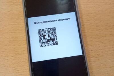 Власти обсуждают введение QR-кодов в самолётах и поездах в России — СМИ - chita.ru - Россия