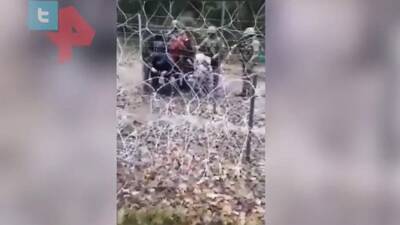 Матеуш Моравецкий - Польские силовики остановили пересекшую границу беженку с детьми - iz.ru - Израиль - Белоруссия - Германия - Польша - Twitter