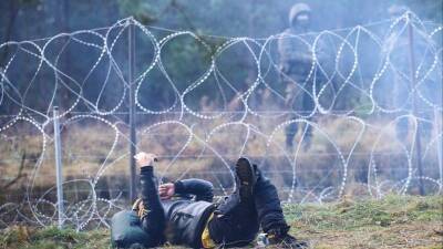 Беженцы не теряют надежды попасть в ЕС и ломают польские кордоны - 5-tv.ru - Белоруссия - Германия - Польша