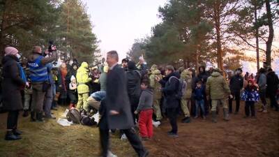 Мигранты прорвались из Белоруссии в Польшу - vesti.ru - Белоруссия - Польша - Литва