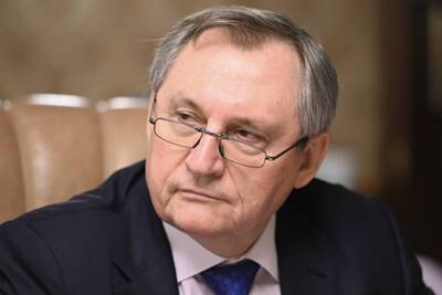 Николай Шульгинов - В России сочли преждевременными заявления о закате нефтяной эры - lenta.ru - Москва - Россия
