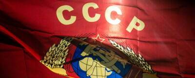 Елена Ямпольская - Правительство поддержало штрафы за сравнение СССР и нацистской Германии - runews24.ru - Россия - Германия