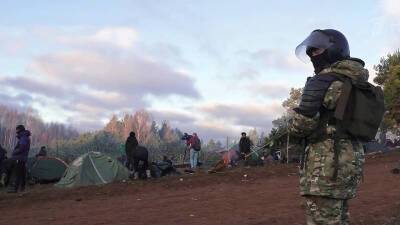 На территорию Польши смогли прорваться две большие группы беженцев - 1tv.ru - Белоруссия - Польша - Литва - Минск - Брюссель