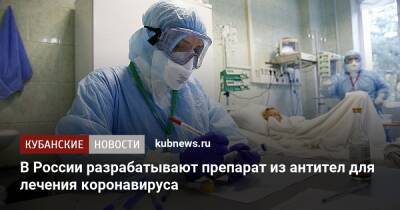 Александр Гинцбург - В России разрабатывают препарат из антител для лечения коронавируса - kubnews.ru - Россия - Краснодарский край - Краснодар
