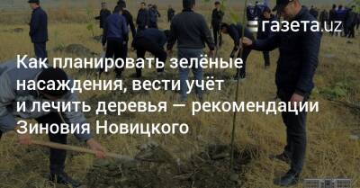 Как планировать зелёные насаждения, вести учёт и лечить деревья — рекомендации Зиновия Новицкого - gazeta.uz - Узбекистан - Ташкент